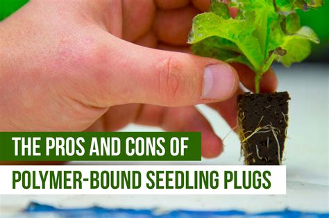 These starter <b>plugs</b> are also fortified with General Hydroponic’s micronutrients, which are among the best-known and most commonly used in hydroponic gardening of all kinds. . How to make polymerbound plugs
